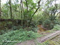 Terreno Rural com 20.227m² em Lapa/PR