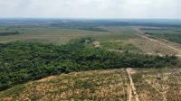Fazenda com 109 hectares em Centenário/TO