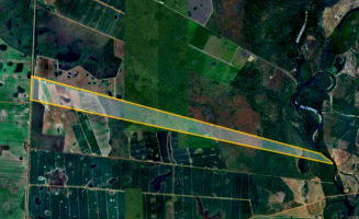 Fazenda - 332 hectares - Lagoa da Confusão/TO