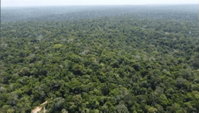 Fazenda Rural com 1.525,84 ha, desocupada, ideal para investimento