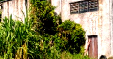 Terreno em Jaraguá do Sul com 4.969,90m² na BR 280