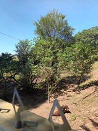 Fração ideal de 10.000m² em área rural, desocupada