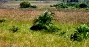 Terrenos desocupados em Itaporanga D'ajuda - Loteamento Vila Rica