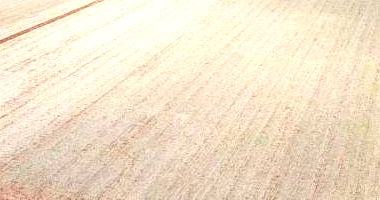 Gleba Rural com 29,1076ha em Douradina/MS