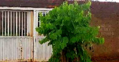 Casa no Conjunto Habitacional Vida Nova com 2 Quartos