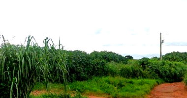 Imóvel Rural de 1.334.239m² em Uberlândia/MG