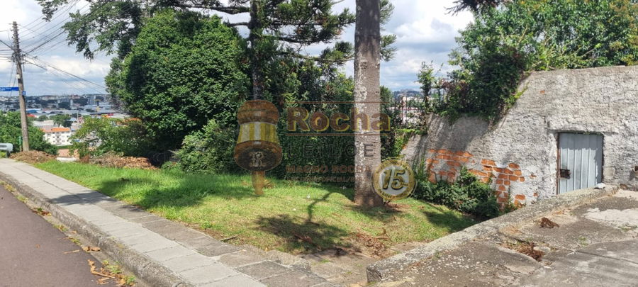 Terreno amplo no Bairro Parolin com 713m²