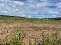 Fazenda com 242 hectares, casa sede e áreas agricultáveis