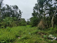 Terreno Urbano em Matinhos/PR - 330m²