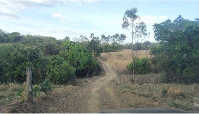 Imóvel Rural com Casa Sede e Curral em Patrocínio/MG