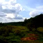 Lote de Terras com 101.000m² e Construções - Pagamento em até 60x