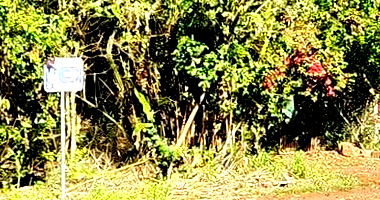 Terreno Rural com 2.500 m² em Realeza/PR