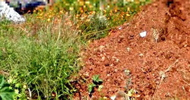 Terreno com 300m² no Jardim Veneza