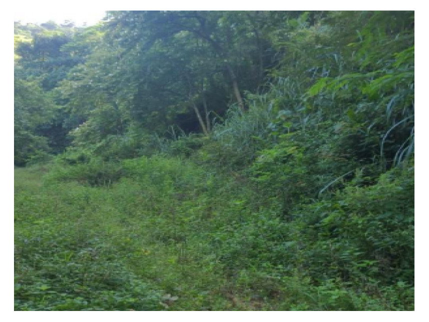 Terreno com 18.047 m²