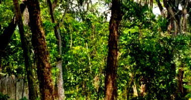 Terreno Amplo em Condomínio Fechado com Construções em Ruínas