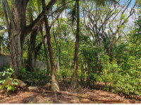 Terreno Amplo em Condomínio Fechado com Construções em Ruínas