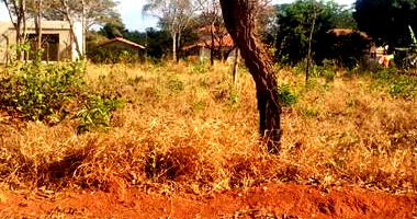 Lote de Terreno em Condomínio com 1.055,66 m²