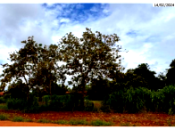 Terreno com 450m² em Porto Nacional/TO