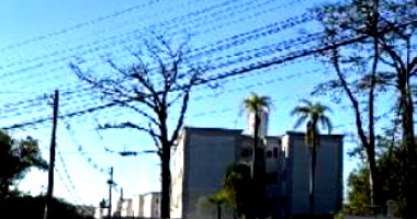 Apartamento em Condomínio Alto Protásio com 2 quartos