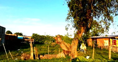 Terreno em Rio Grande com 600m²