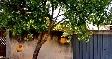 Casa com 1 quarto, 1 banheiro, 43,85m² construída, desocupada