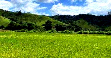 Área Rural com 216.861 m², ocupada, em zona rural, com potencial para desmembramento