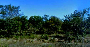 Imóvel Rural de 922,92 Hectares em Santa Maria da Vitória - BA