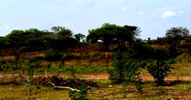 Terreno com 451,32 m² em Araguacema