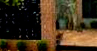 Casa Ocupada com 2 Quartos e 1 Vaga em Assis Chateaubriand/PR