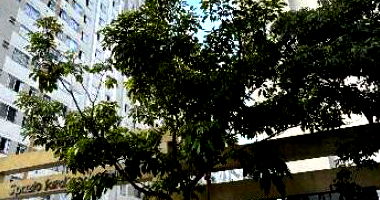 Apartamento 2 Quartos em São Paulo - Spazio Jardins da Orla