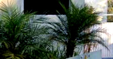 Apartamento com 1 vaga em Cotia/SP - 53,33m²