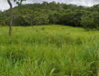 Fração de 20% de imóvel rural com 188,15 hectares, casa sede e barragem