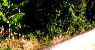 Lote de terras urbano com 768,07m² em Dois Vizinhos-PR