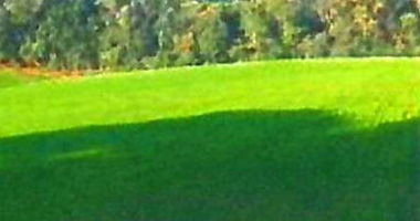 Espaçoso Terreno Rural com Arroio e Áreas de Preservação