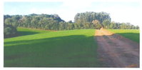 Espaçoso Terreno Rural com Arroio e Áreas de Preservação