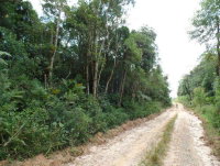 Sítio com 17 alqueires, área rural ampla e