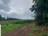 Terreno Rural em Chapecó - 42.852 m²