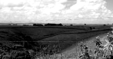 Imóvel Rural Eldorado com 32 Hectares em Jundiá-AL