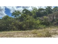 Terreno Amplo em Leilão - Distrito Industrial
