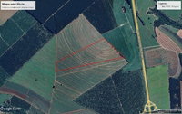 Sítio São José em Lagoa Branca: 19,36ha, Rural