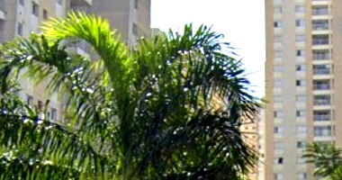 Apartamento 2 vagas, 70m² útil, 152m² total, ocupado