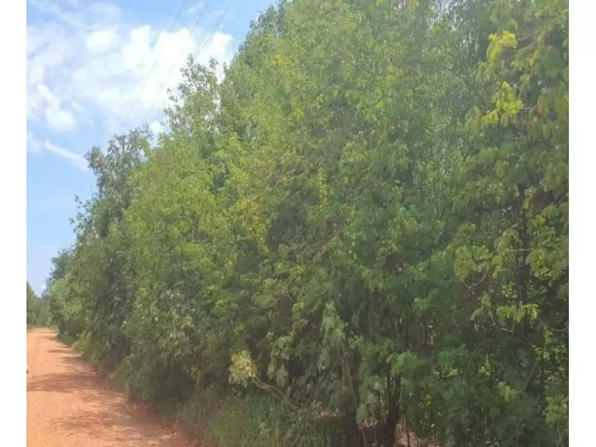 Terreno de 14.000m² em Loteamento Tarumã