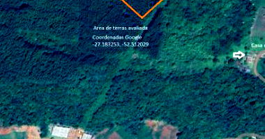 Lote rural com 72.565m², declive 45%, plantação eucaliptos
