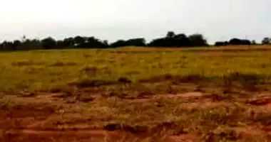 Terreno desocupado com 240m², ideal para construção