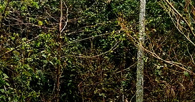 Terreno com 587,39m² em Nova Petrópolis/RS