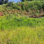 Lote Urbano 375m² em Palmitinho - Sem Edificações