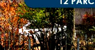 Casa com 3 Quartos e 1000m² de Terreno em Santo André - SP