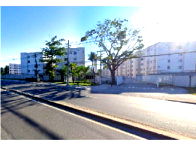 Apartamento Aconchegante com 2 Quartos em Santa Cruz