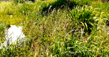 Terreno com 360m² em Mineiros/GO