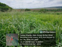 Terreno em Leilão